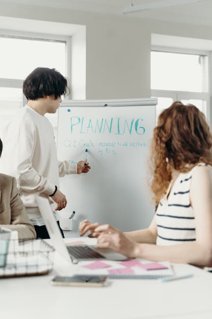 Proiect structură metalică depozit logistic